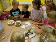 Sbíráme a sušíme houby